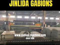 Gabion Mesh Machine Marvel: Jinlida's Game - Veranderende technologie