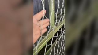 Hoogwaardige Gabion-draadgaasmachine van de Jinlida-fabriek, meerdere productielijnen